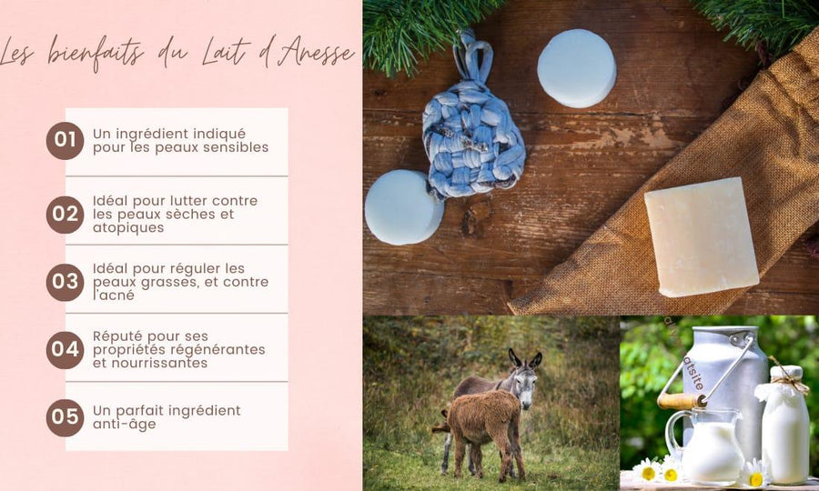 Lot de 2 savons bio au lait d'anesse et amande douce